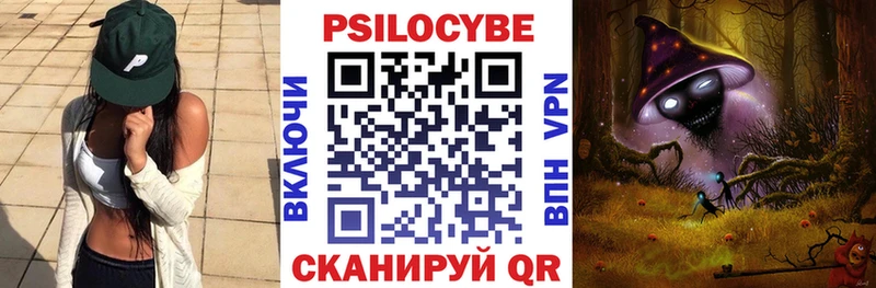 сколько стоит  Сольвычегодск  Псилоцибиновые грибы Psilocybine cubensis 