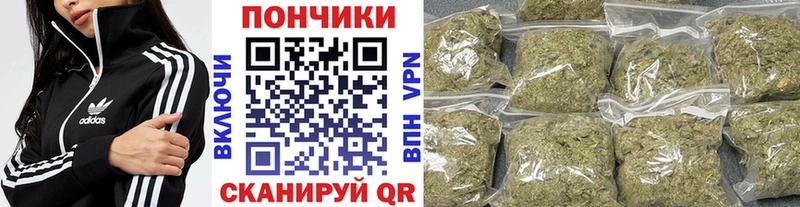 Шишки марихуана семена Сольвычегодск